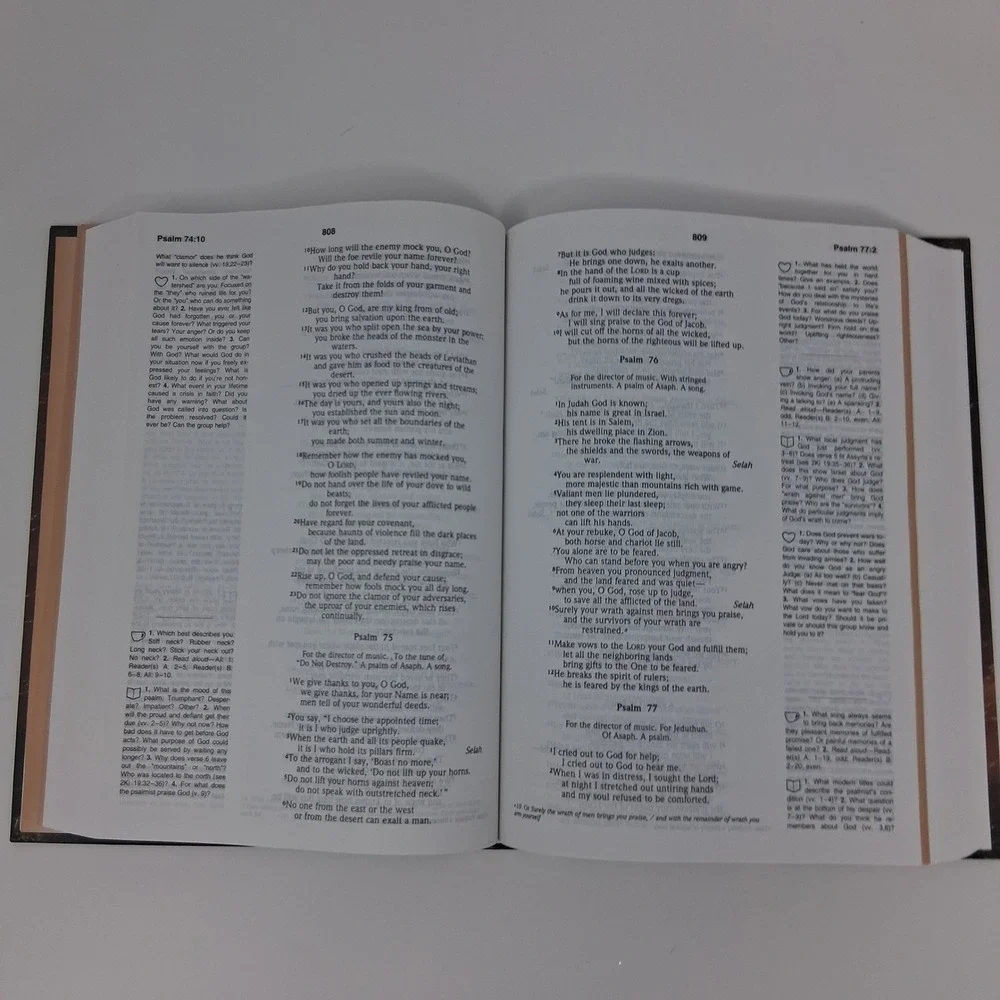 Serendipity Bible for Groups Third Edition New International Version NIV‎